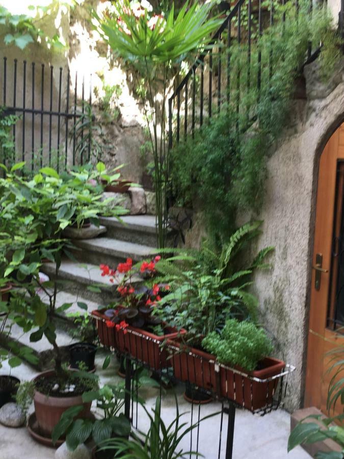 Apartment Filipas Cres Εξωτερικό φωτογραφία